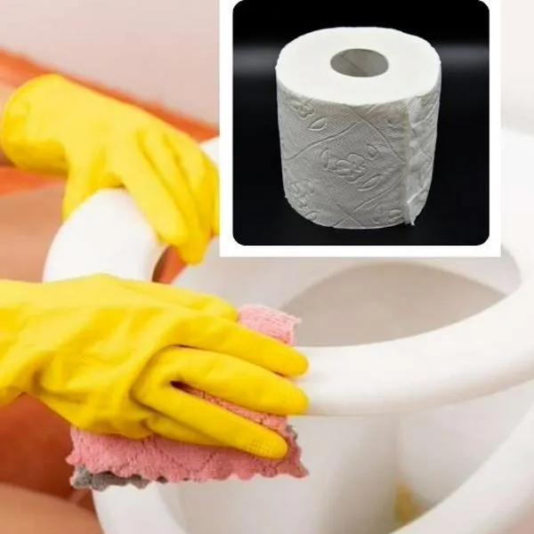 Fotos de limpieza y papel higiénico, en nota de cómo limpiar un inodoro correctamente y la razón de no utilizar papel higiénico