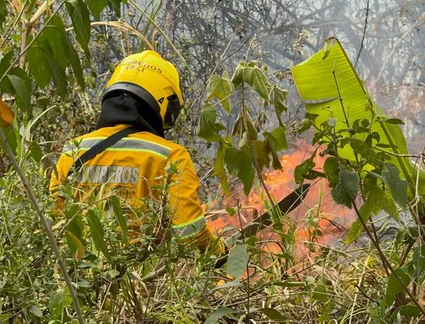 Incendio en el sur de Cali: familias perdieron sus hogares