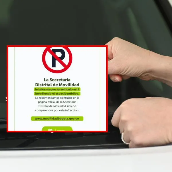Qué hacer con las multas de tránsito: el volante que aparece en el parabrisas