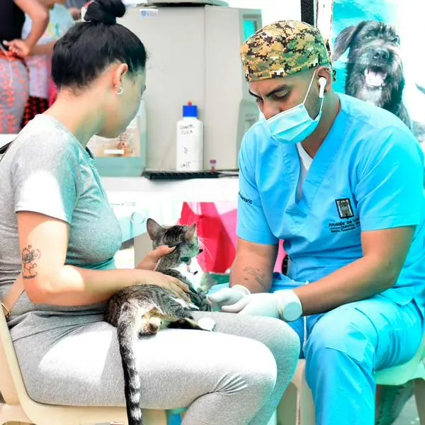 Veterinario con mascota en Medellín, en nota sobre cómo esterilizar gratis a las mascotas