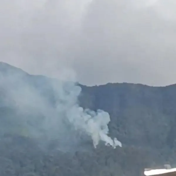 Incendios en cerros orientales de Bogotá, viernes 24 de enero