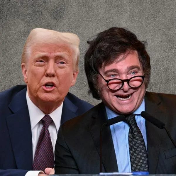 El primer año de Milei y su ofrecimiento a Trump.