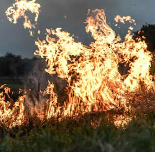 Incendio en Bogotá: piden ayuda de la Fuerza Aérea por la emergencia