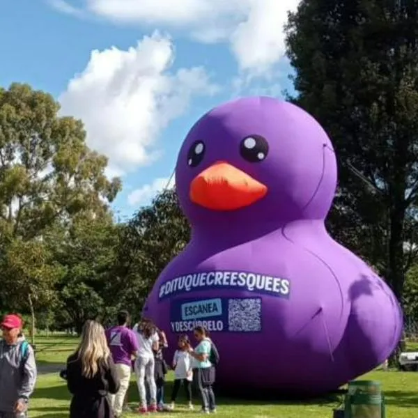 Por qué hay patos morados en los parques de Bogotá; esto se sabe del tema