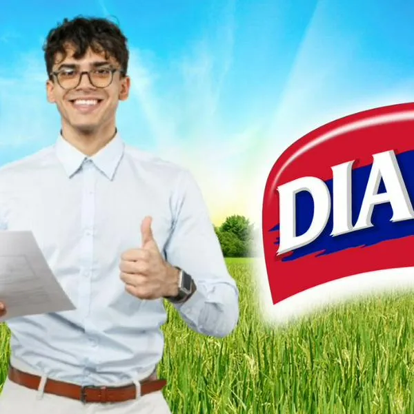 Grupo Diana lanza ofertas de empleo en Bogotá, Medellín y Cali, en Colombia. Hay vacantes para profesionales y salarios son de $6’000.000.
