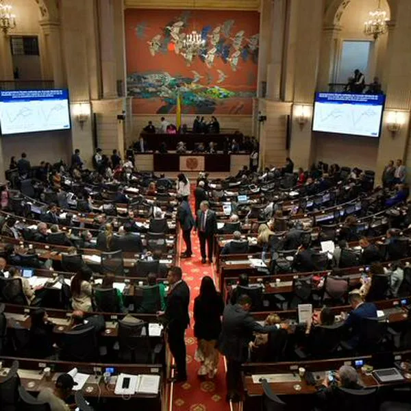 Congreso, CNE y MinIgualdad tendrán recortes en su presupuesto para 2025