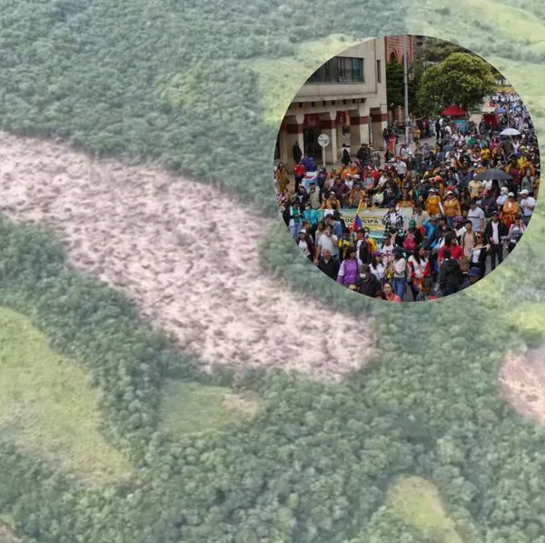 Movilizaciones por el Catatumbo.