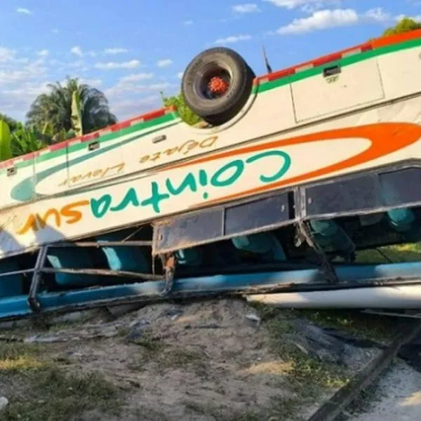 Bus arrolló un búfalo y se volcó en el sur del Tolima; hay varios lesionados