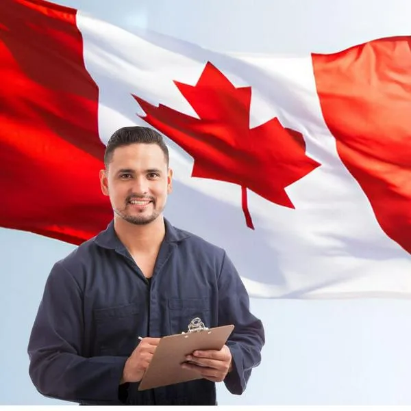 Cómo puedo postularme para ir a trabajar a Canadá: Hay canal oficial para buen empleo
