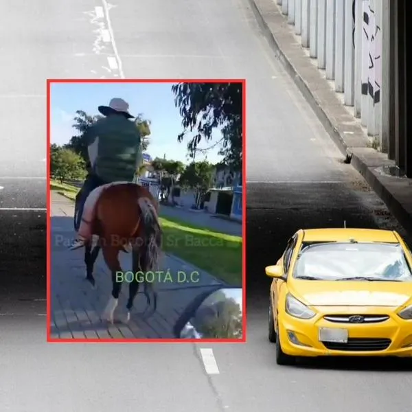 Hombre montó en Día sin carro en Bogotá a caballo hoy y video es viral