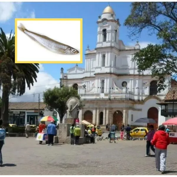 ¿Cómo se les dice a los de Funza? Tienen raro apodo que viene por famoso pescado