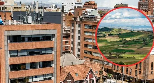 tarjeta noticia