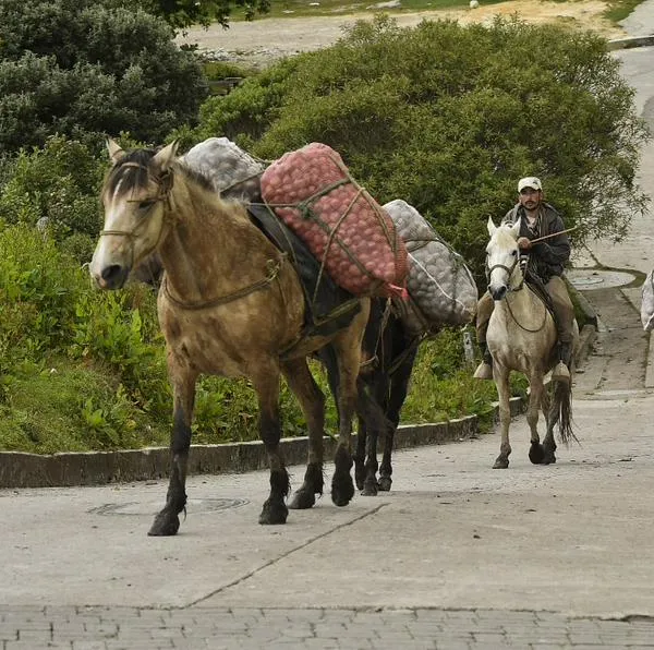 Bogotá tendrá nuevo sistema de transporte público en Sumapaz.
