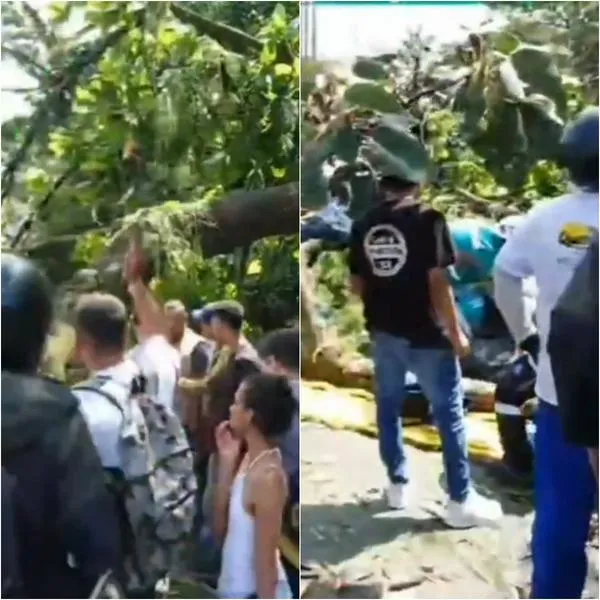 Este lunes 10 de febrero, se reportó una grave emergencia en Medellín en donde murió una persona y tres más resultaron heridas por caída de árbol.