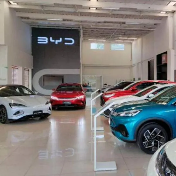 BYD dará a clientes nuevos servicios en carros que valgan más de $50 millones