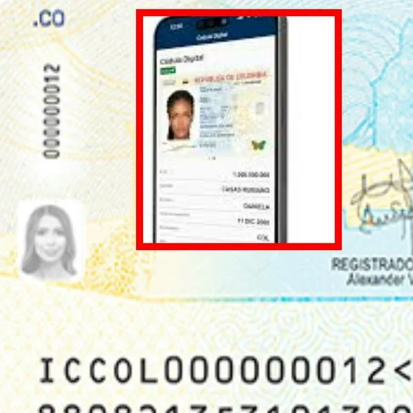 ¿Cómo descargar la cédula digital en 2025 y cuáles son los requisitos del trámite