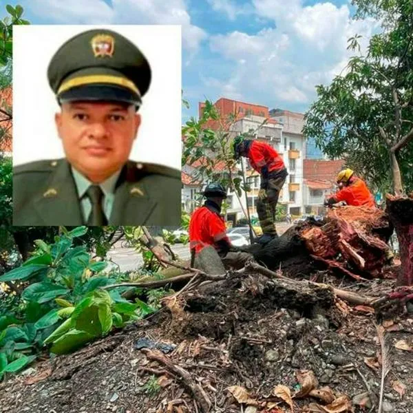 Árbol que cayó y mató a policía en Medellín tenía órden de tala desde 2024. Aparecen nuevos detalles de la grave emergencia de hoy 10 de febrero.