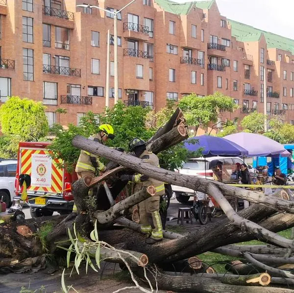 Momento en el que Bomberos de Bogotá atienden el árbol que se cayó en la autopista Norte y dejó heridos. Fue al frente del centro comercial Mazurén