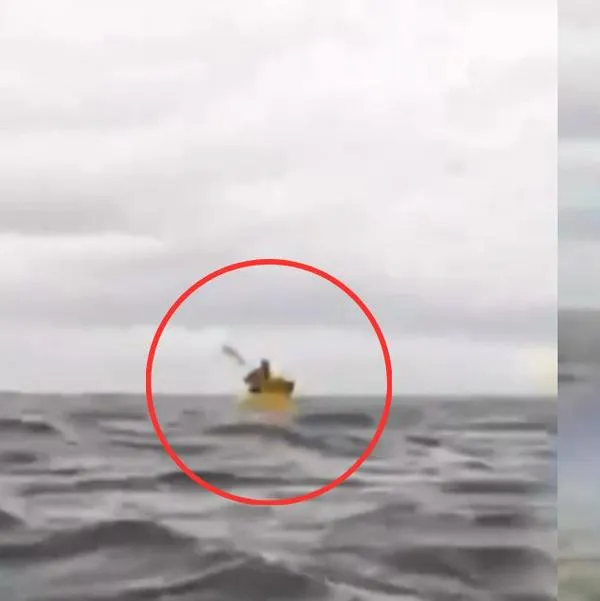 Joven tragado por ballena en video.
