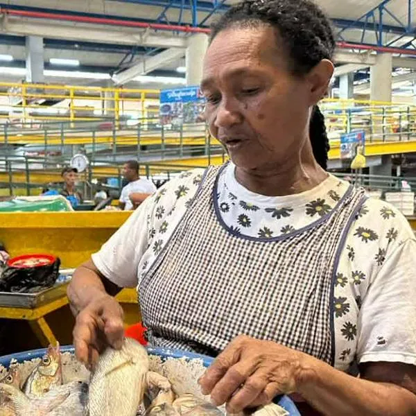 ¿Cuánto podría subir la edad de pensión en Colombia, luego de la propuesta del Banco de la República
