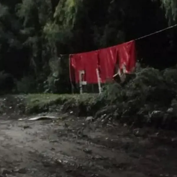 Lo que hay detrás de los cilindros y banderas instalados por el ELN en el país
