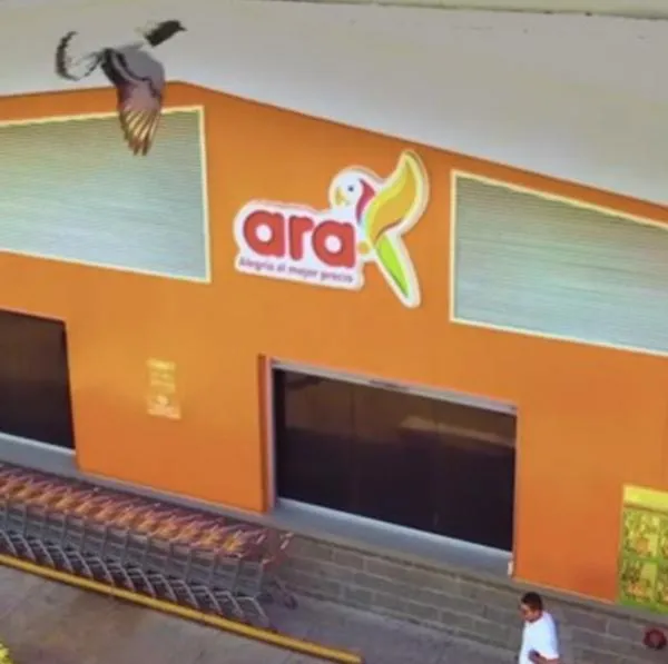 Ara lanza dispensador de agua.