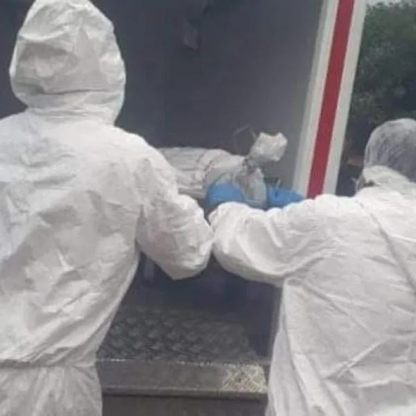Macabro hallazgo en una finca en Colombia: encontraron muertos a 2 hermanos