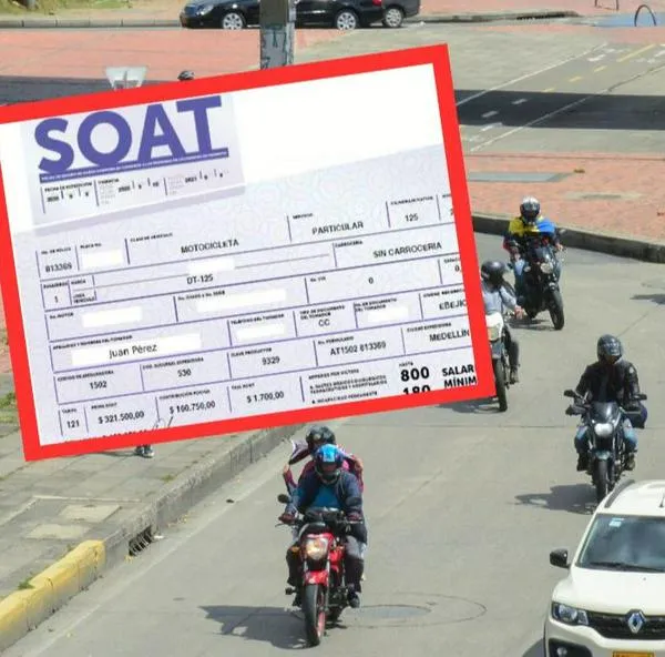 Comprar Soat se ha vuelto una estafa y dicen cómo evitar perder el dinero