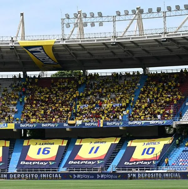 Boleta Colombia vs Paraguay que vale un salario mínimo es de $ 1'527.500