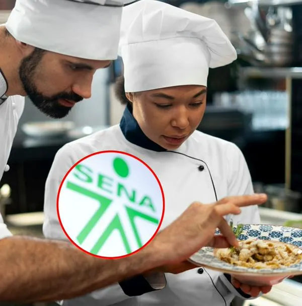 ¿Cómo trabajar como chef? 