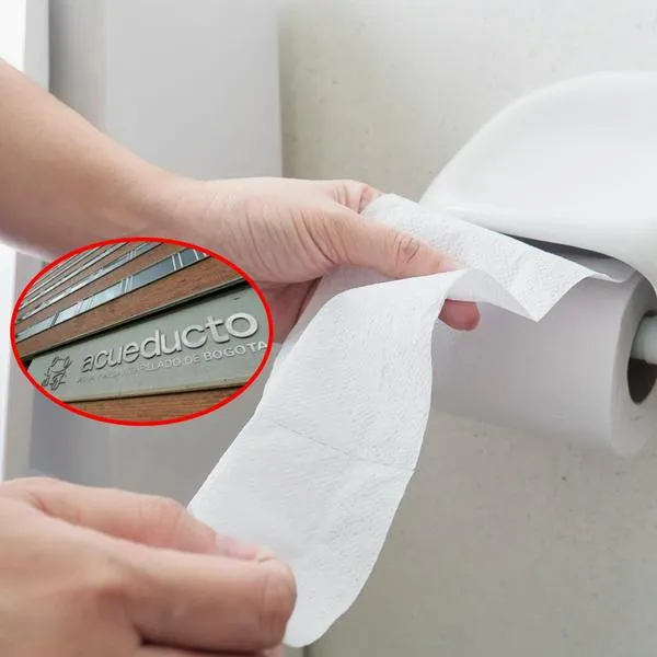 ¿Dónde se debe tirar el papel higiénico en Colombia? 