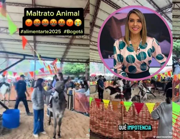 Mónica Rodríguez se fue contra evento en Bogotá por maltrato animal: qué pasó