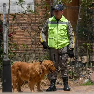 Vacantes para jóvenes sin experiencia