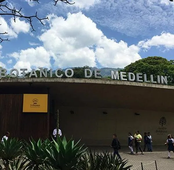 Qué se necesita para entrar al Jardín Botánico Medellín: aplique al voluntariado