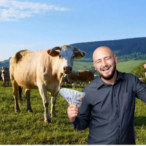 ¿Cuánto vale una vaca lechera en Colombia en 2025? El precio no es por los kilos 