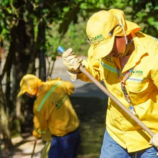 Auxilio de conectividad para los que ganen menos de $ 2'847.000: cómo sería