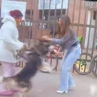 A periodista de Citytv se le subió un perro a la pierna en directo