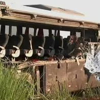 Tragedia en Brasil: imágenes del accidente entre camión y bus universitario que dejó 12 muertos