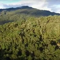 Foto Parque Natural Chingaza, en nota de cuál es la montaña más alta de Cundinamarca, cerca a Bogotá e historia de pueblo