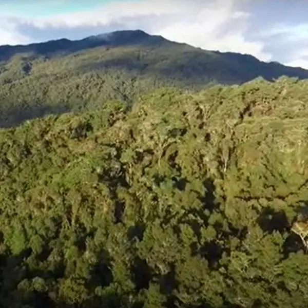 Foto Parque Natural Chingaza, en nota de cuál es la montaña más alta de Cundinamarca, cerca a Bogotá e historia de pueblo