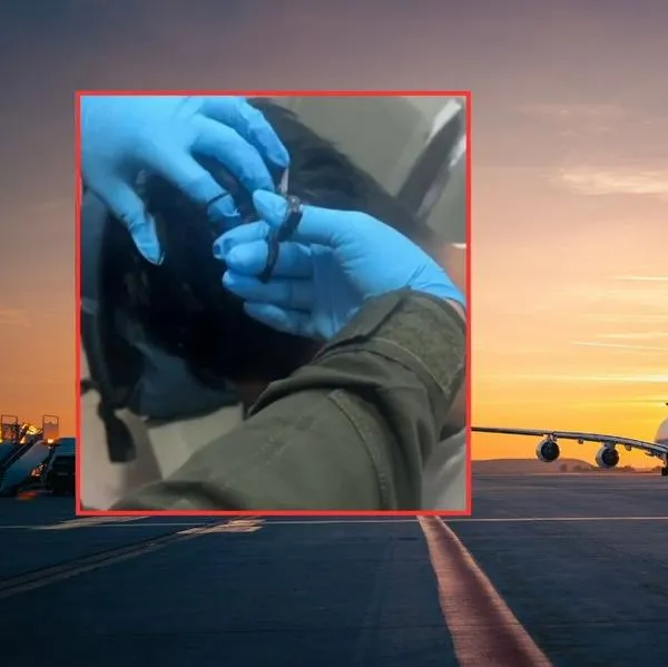 Aeropuerto y 'narco peluca'