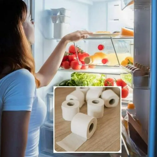 Por qué poner papel higiénico en nevera, truco que pocos conocen y muy efectivo