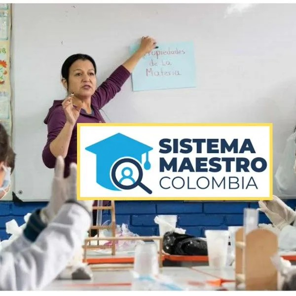 ¿Cómo postularme en el Sistema Maestro? Hay ofertas para provisionales