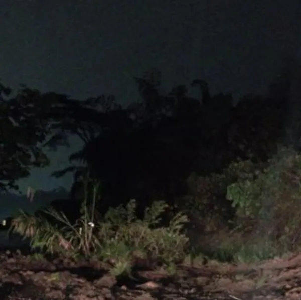 Deslizamiento provocó cierre total en la Línea, a la altura de Calarcá