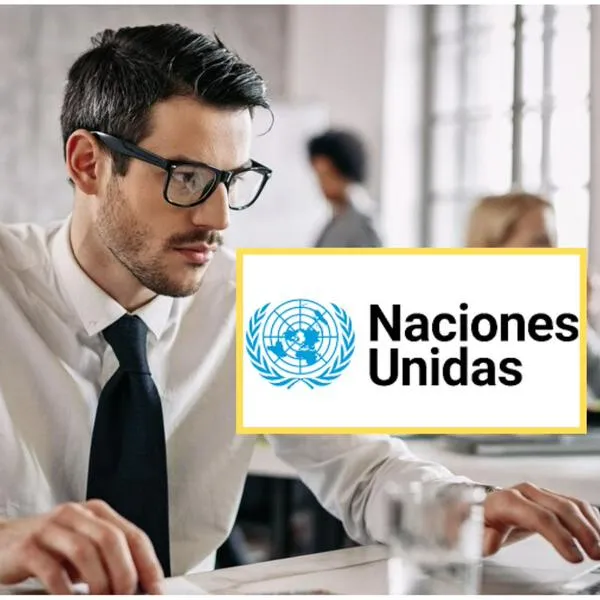 ¿Qué se necesita para trabajar en la ONU? Oferta laboral desde casa pagan bien