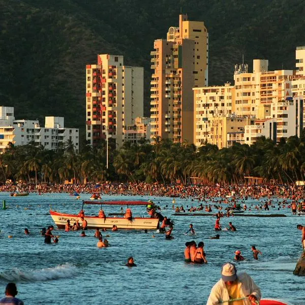 Aparece peligroso animal en El Rodadero (Santa Marta): amenaza a turistas