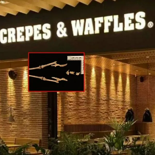 Crepes & Waffles explicó plan que tiene con 14 tumbas prehispánicas en Tolima