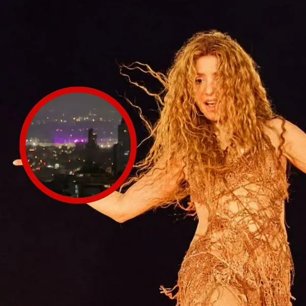 Concierto de Shakira en Bogotá: fan disfrutó de extraña forma el concierto