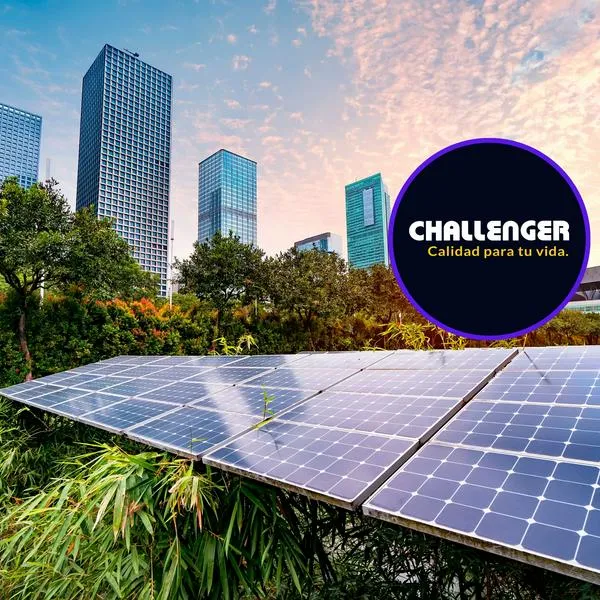 Sostenibilidad empresarial de Challenger: la empresa bogotana que le apuesta al medio ambiente y a la sociedad