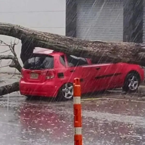 Lluvias del viernes en el Valle de Aburrá dejaron árboles caídos y más de 220 descargas eléctricas